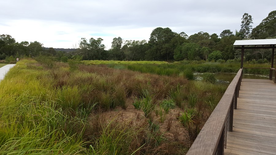 View of mature wetland from scenic bridge